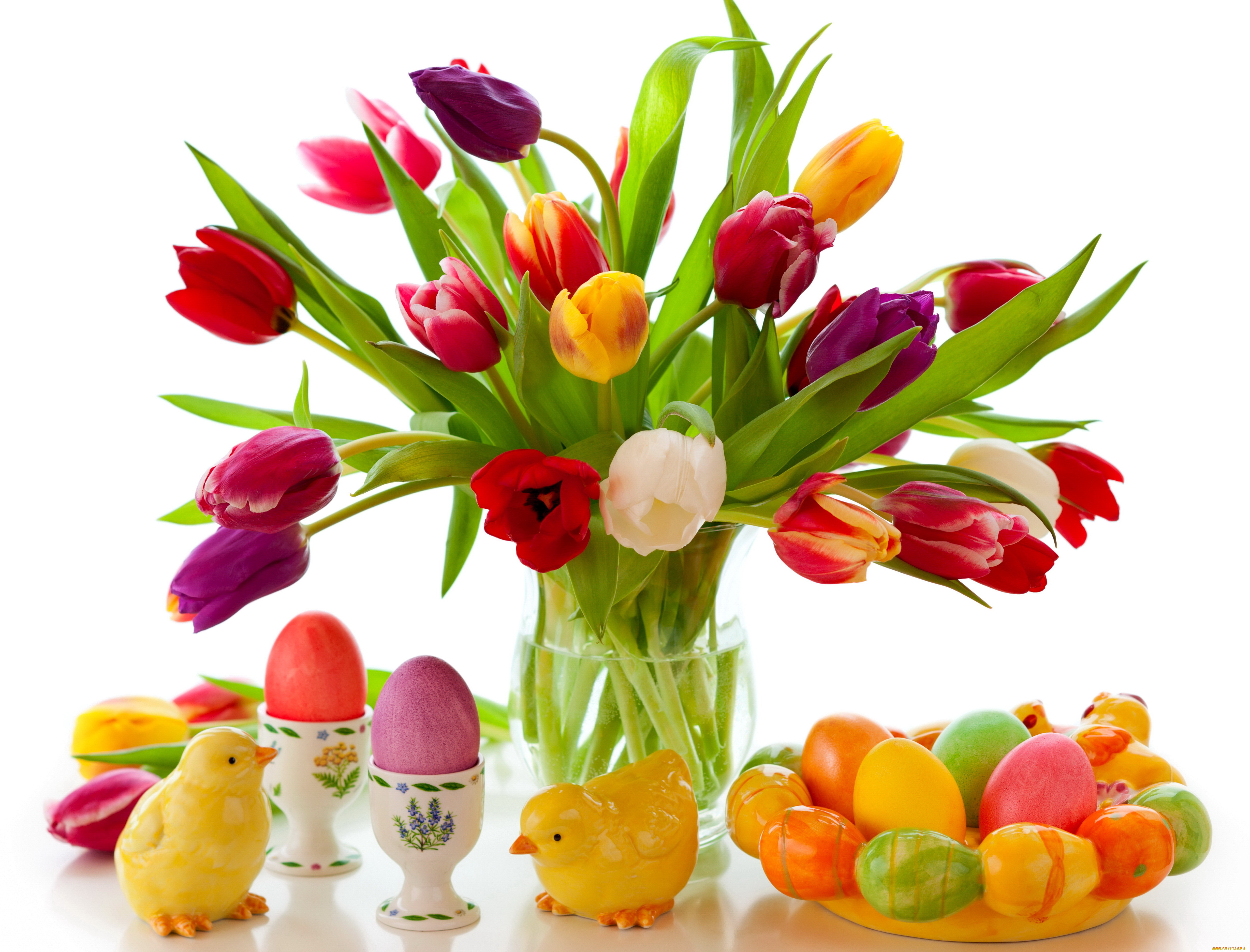 , , , , , , tulips, colorful, eggs, flowers, spring, easter, 